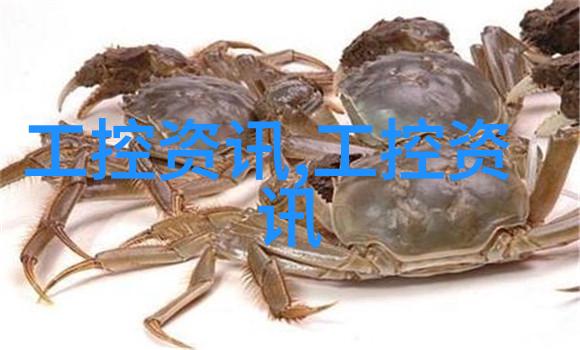 粉碎设备之谜它究竟在追求什么