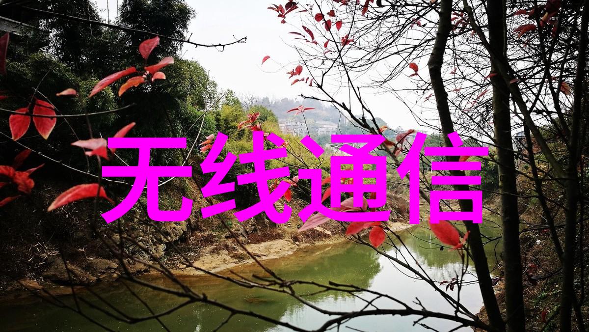 蓝色风暴研华品牌领航者在MBA讲坛上探讨嵌入式之谜计算机还是电子