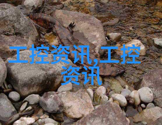 盛世谋臣权力斗争中的智者与勇士