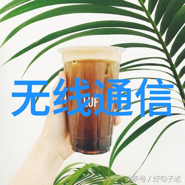 清洁王者隔膜泵的守护之心