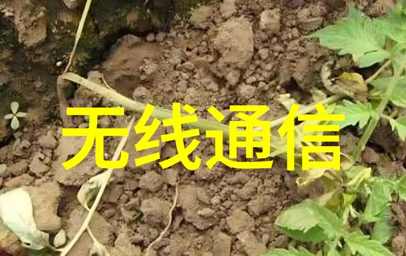 风起云涌沐风网的编织