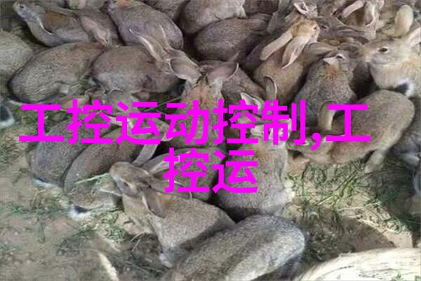 铝单板我的家居改造小能手