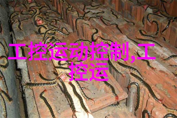 高效连续式干燥技术革新与应用前景探讨