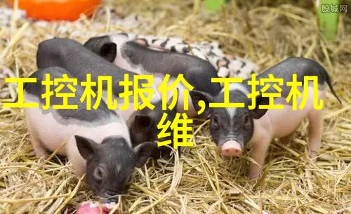 低温等离子灭菌器原理我来解析一下这台神奇设备是怎么工作的