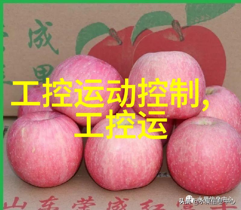 大型微波干燥设备在现代工业应用中的创新与挑战研究