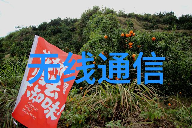 社会中如何选择合适的免漆门装修样板房以及设计技巧