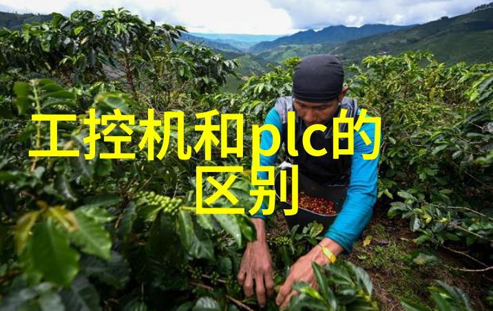 封建糟粕BY花卷我是怎么从一个普通的食客变成了花卷的追随者