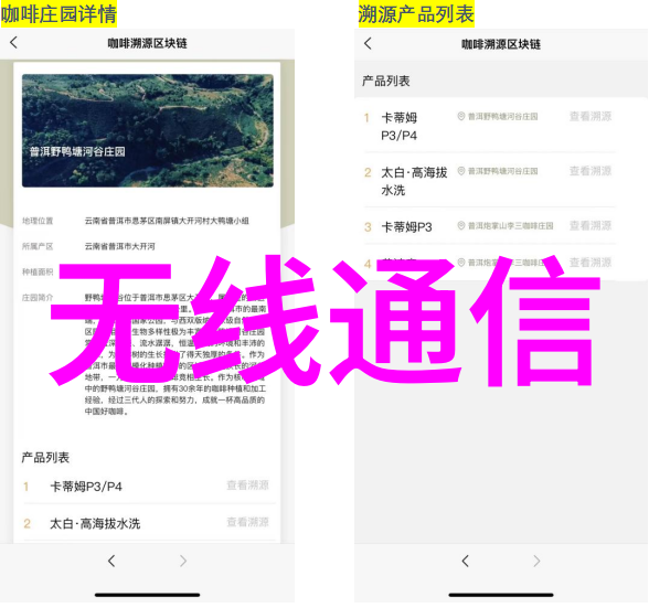浓情蜜意-爱的纽带温馨回忆中的浓情蜜意