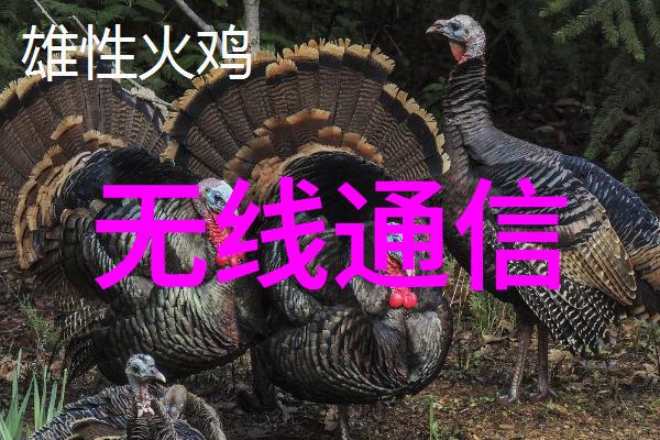 河南省周口市中心城区瓶装液化气末端配送车辆全面启动