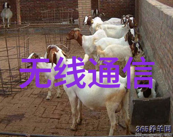 颗粒剂机械生产线的未来发展趋势探讨