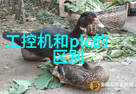 精细粉碎技术粉碎机设备的新纪元