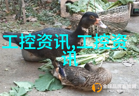 微波能量下的干燥艺术如何选择和维护最佳的微波干燥设备