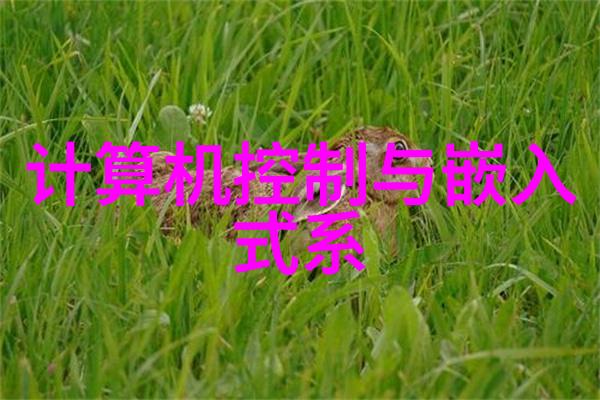 探索开题报告研究内容模板的应用与创新