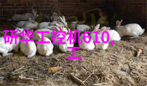 年度回顾与展望成就与挑战的交汇点
