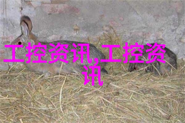 动物实验室设备-精准探索现代动物实验室设备的发展与应用