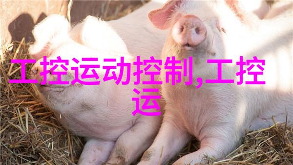 什么是成本效益分析在工程项目中的应用