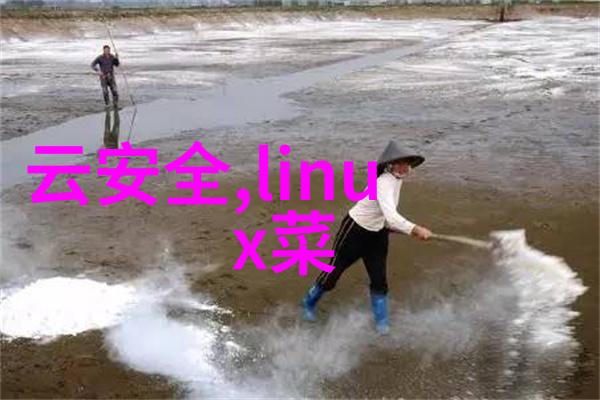 水质新篇章探索最优的软化水解决方案