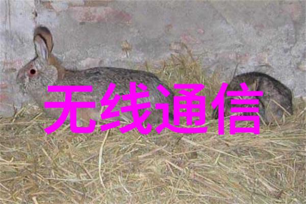 从零到英雄理解和应用镀锌管型号规格表