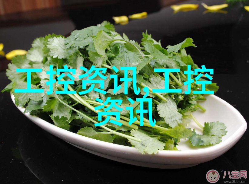 家居美学室内装修材料全指南