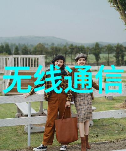 探索创新之门中国专利局官方网查询系统解析
