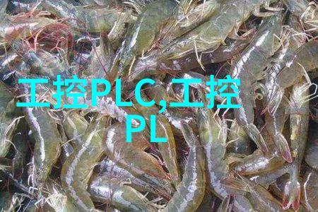 皮带输送机设备高效物料搬运的选择