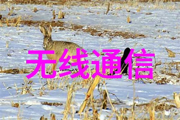 化工片剂机械机遇与挑战的交汇点在哪里