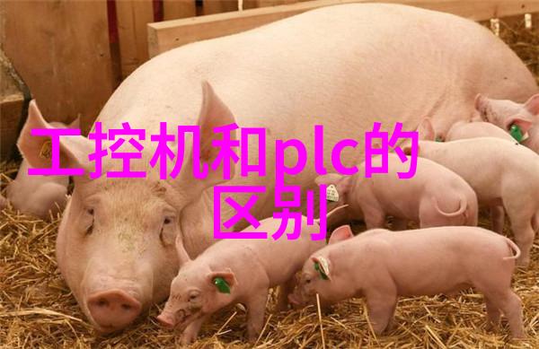 胶囊剂机械 - 自动化生产线与精确成型技术胶囊剂机械的未来发展