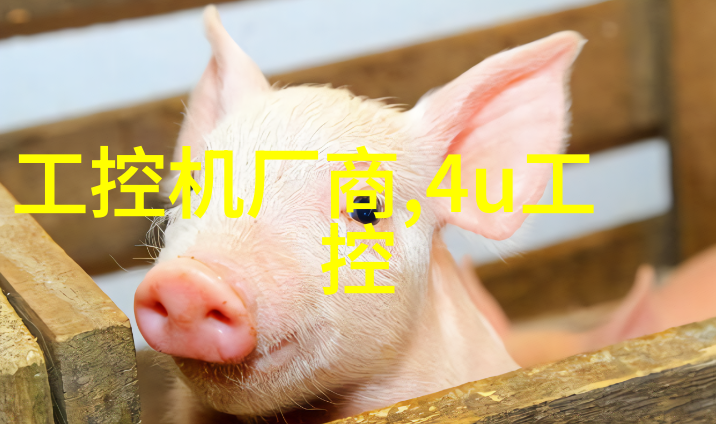 为什么等到楼市大捷喜报才买房下半年毛坯房装修图里藏的惊喜炒房的人岂不是慌了