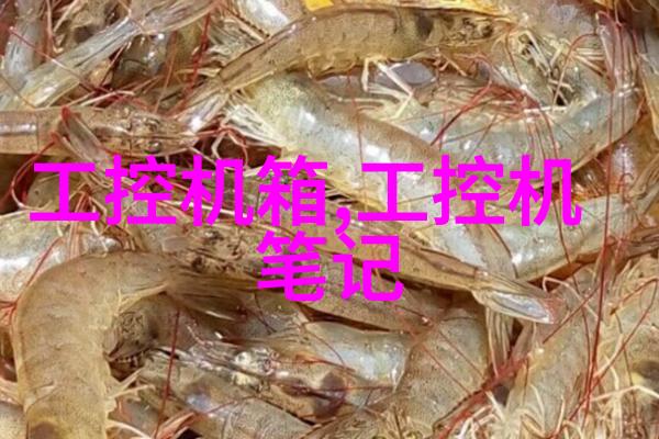 探索科技奇迹万能仪器的神秘世界