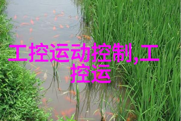 电动工具的二次元生涯从58同城到你的家中