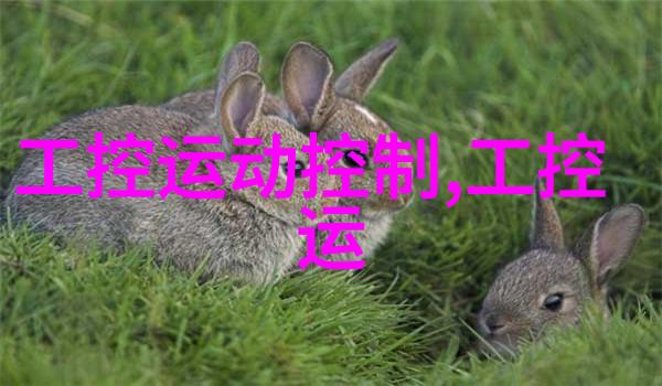 小型不锈钢加工厂-精益求精如何在规模有限的情况下保持高效生产能力