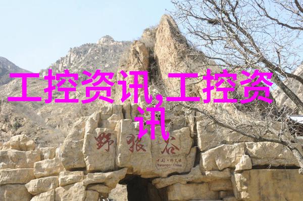 佛山装修潮汕风韵的家居艺术探索