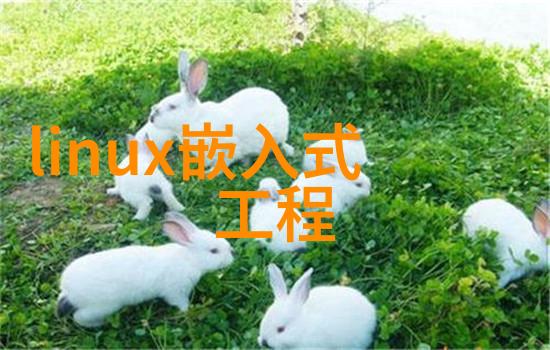 探究矿泉水设备套装成本的经济学视角一项综合性分析