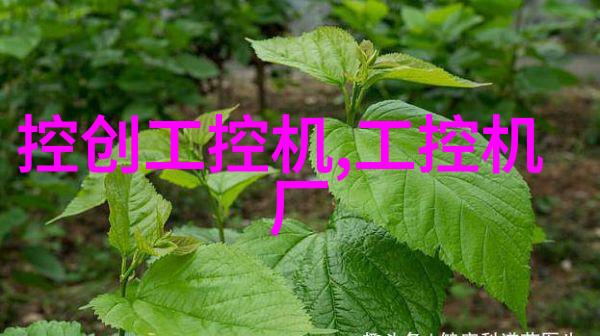 水淘金谷揭秘下一个水利革命的源头