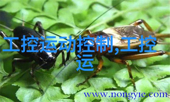 辐射之光消毒新纪元