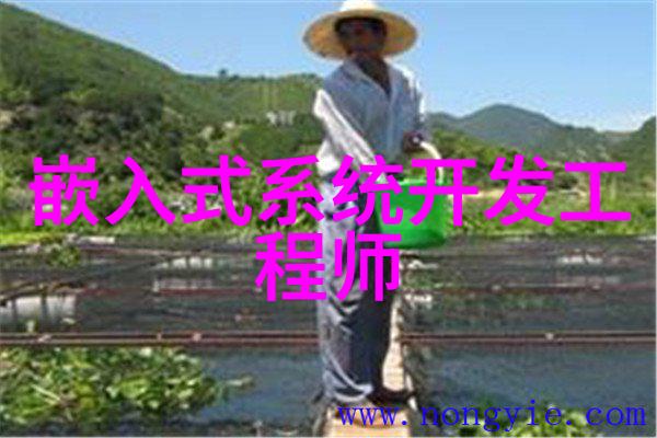 机器之网中国工业的织造者