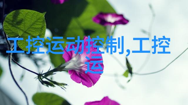高效干燥技术的应用氯化钙干燥设备的创新解决方案