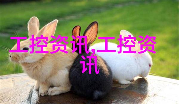 数字的秘密语言揭秘300047背后的代码与故事
