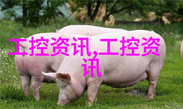 高科技驱动的精准医疗专业医疗器械在现代医学中的应用与发展