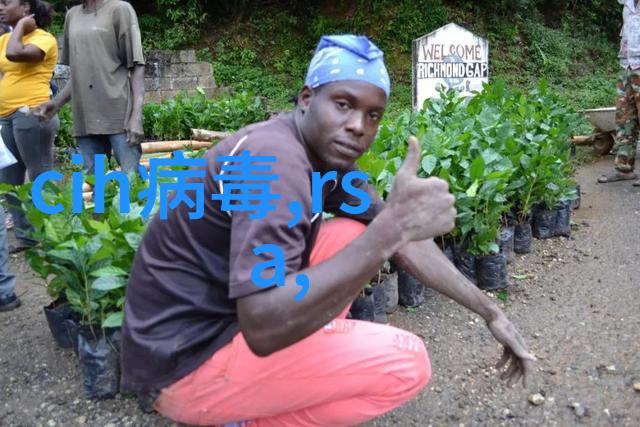 水脉编织管道的诗篇