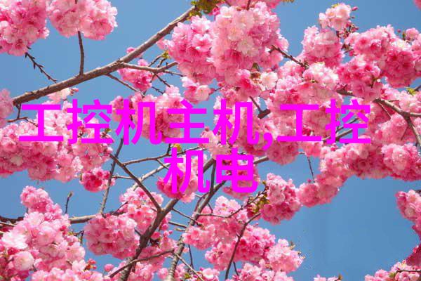 油烟机清洗我是如何一次性搞定烤箱和油烟机的脏污的
