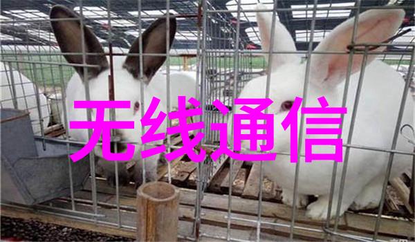 传统物理-化学过程相比生物-化学过程适合于什么样的工业用途