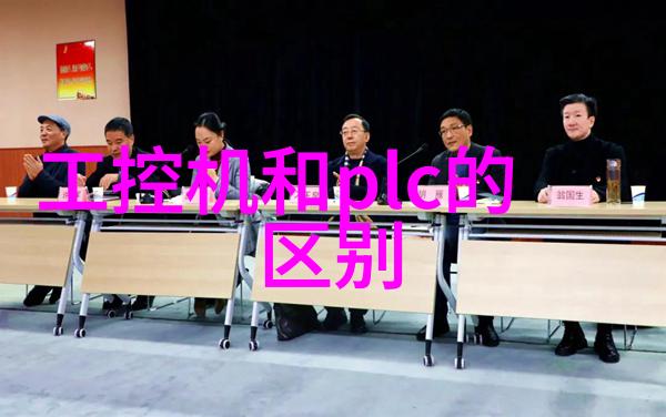 豪门宅邸中的简约生活