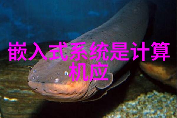 贵州实验室设备我在贵州的科研探险揭秘那些神奇的仪器们