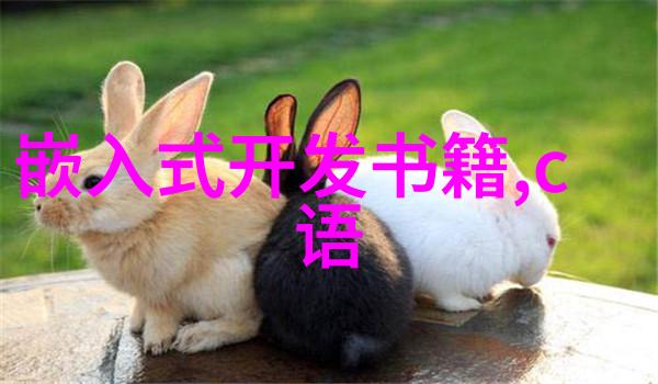 智能装备展未来科技的展示台