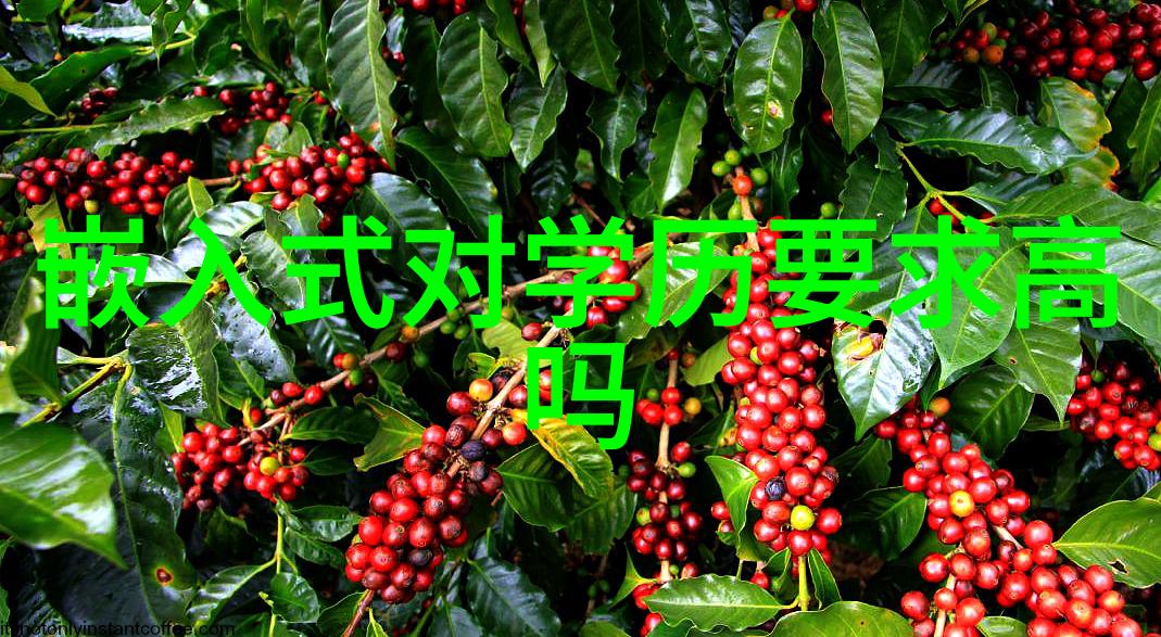 专业技术资格证书体系概述及其种类分类