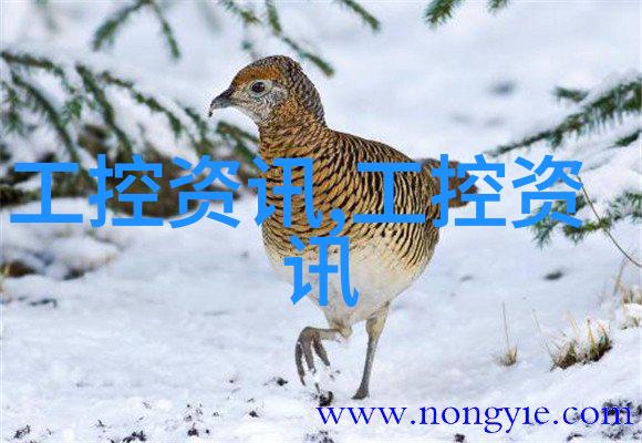 设备技术-立式沉降式离心机的工作原理与应用前景