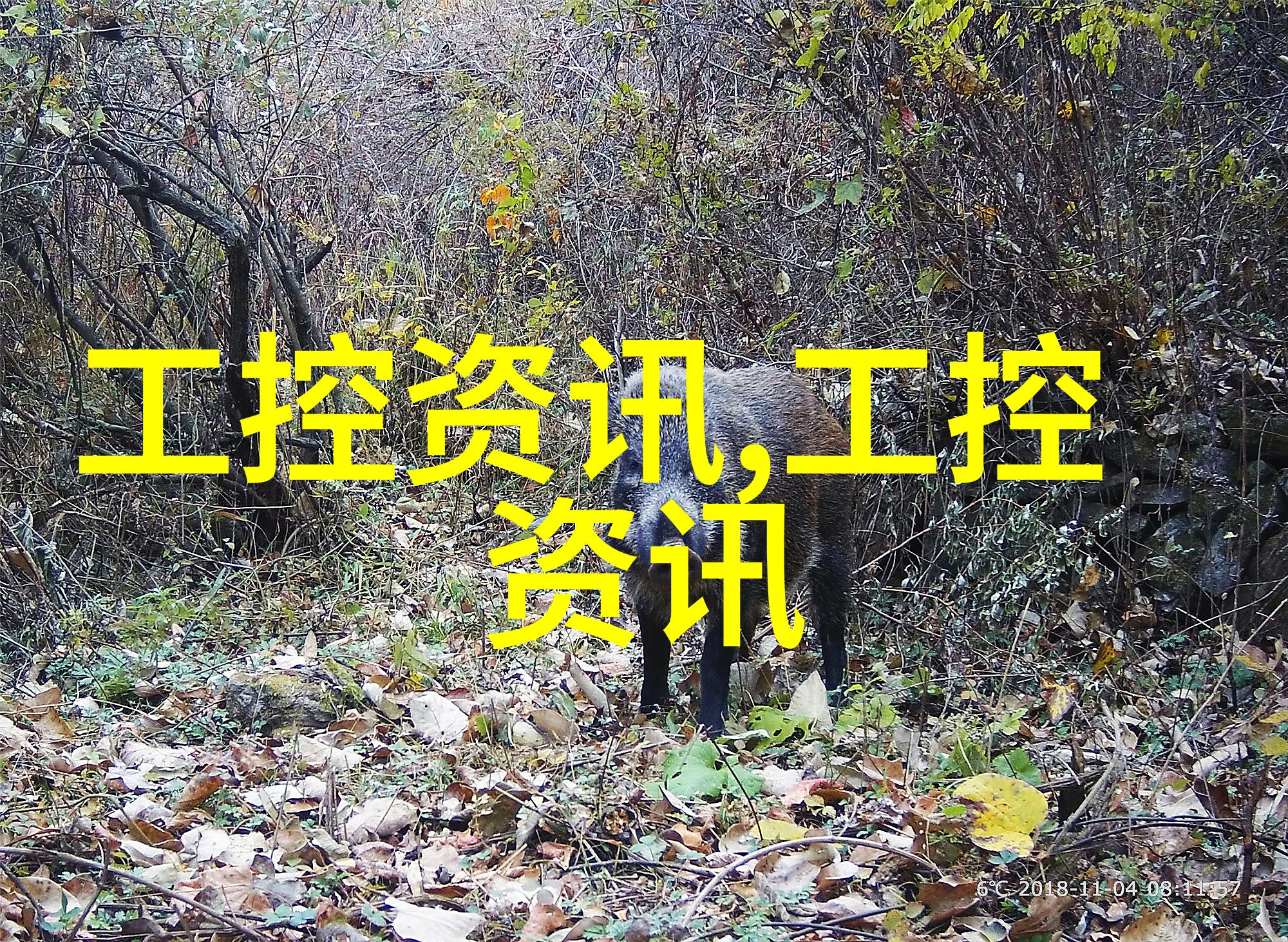 家装项目经理入门知识从设计到交付的全方位指南
