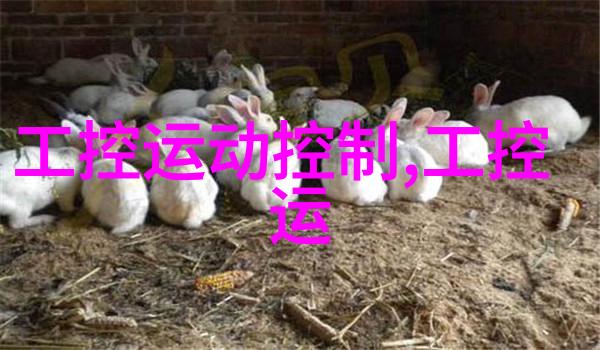 工信部24小时投诉电话您真的知道该如何有效地利用这条线路吗