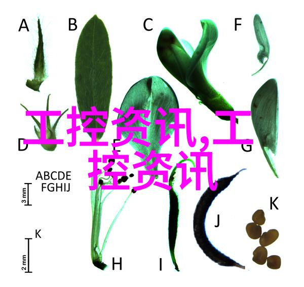家居新貌二手房局部装修的艺术与实用